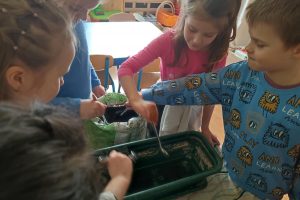 dzieci sadzą w skrzynce cebulkę