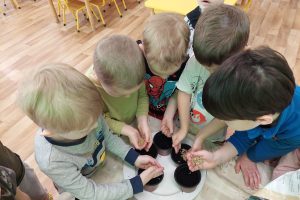 WhatsApp Image 2026-03-06 at 14.51.28 (19)