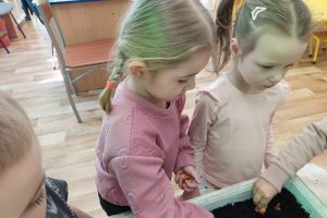 WhatsApp Image 2026-03-06 at 14.51.28 (29)