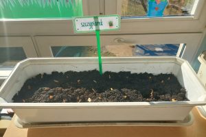 WhatsApp Image 2026-03-06 at 14.51.28 (34)