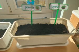 WhatsApp Image 2026-03-06 at 14.51.28 (35)