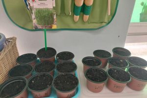 WhatsApp Image 2026-03-06 at 14.51.28 (36)