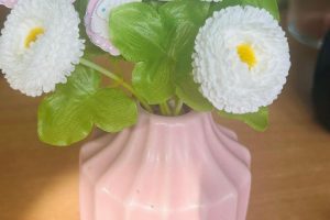 WhatsApp Image 2026-03-10 at 13.37.00 (3)