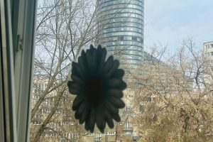 WhatsApp Image 2026-03-10 at 13.37.00 (5)