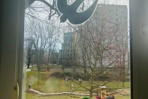 WhatsApp Image 2026-03-10 at 13.37.00 (7)