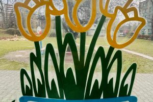 WhatsApp Image 2026-03-10 at 13.37.01 (12)