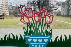 WhatsApp Image 2026-03-10 at 13.37.01 (13)