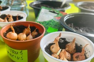 WhatsApp Image 2026-03-10 at 13.37.01 (15)