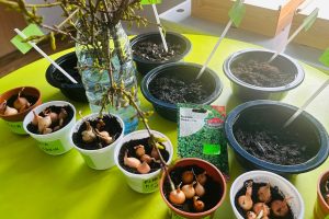 WhatsApp Image 2026-03-10 at 13.37.01 (16)