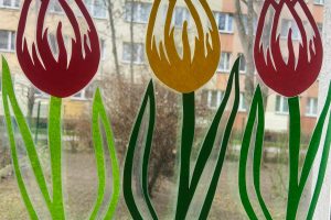 WhatsApp Image 2026-03-10 at 13.37.01 (17)