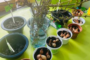 WhatsApp Image 2026-03-10 at 13.37.01 (18)