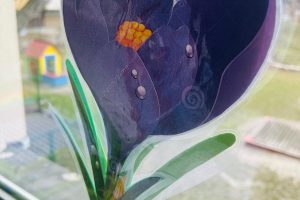 WhatsApp Image 2026-03-10 at 13.37.01 (19)