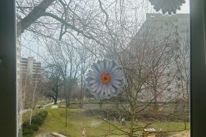 WhatsApp Image 2026-03-10 at 13.37.01