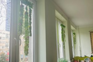 WhatsApp Image 2026-03-10 at 13.37.01 (8)