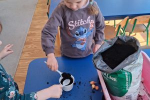 WhatsApp Image 2026-03-11 at 08.05.57