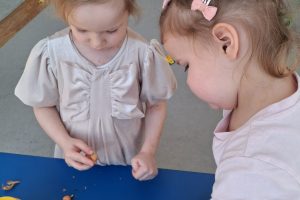 WhatsApp Image 2026-03-11 at 08.05.58 (1)