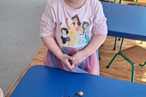 WhatsApp Image 2026-03-11 at 08.05.59