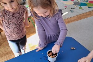 WhatsApp Image 2026-03-11 at 08.06.00 (1)