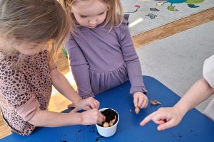 WhatsApp Image 2026-03-11 at 08.06.01 (1)