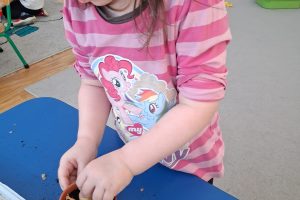 WhatsApp Image 2026-03-11 at 08.06.09 (1)