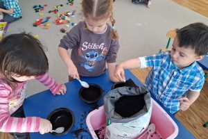 WhatsApp Image 2026-03-11 at 08.06.11 (1)