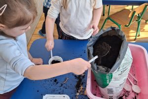 WhatsApp Image 2026-03-11 at 08.06.13 (2)