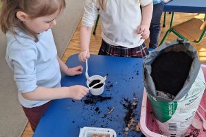 WhatsApp Image 2026-03-11 at 08.06.14 (2)