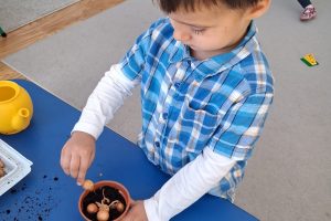 WhatsApp Image 2026-03-11 at 08.06.15 (1)