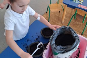 WhatsApp Image 2026-03-11 at 08.06.24 (1)