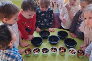 WhatsApp Image 2026-03-11 at 08.06.25 (1)