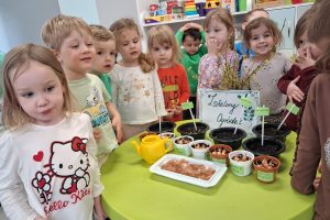 WhatsApp Image 2026-03-11 at 08.06.25 (2)