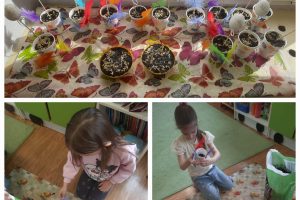 WhatsApp Image 2026-03-26 at 10.13.10