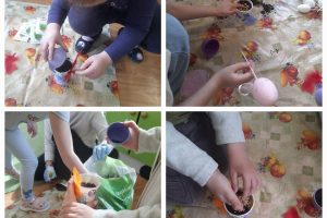 WhatsApp Image 2026-03-26 at 10.13.11 (2)