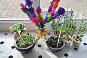 WhatsApp Image 2026-03-27 at 08.56.38 (1)