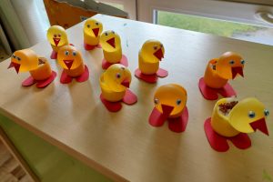 WhatsApp Image 2026-03-31 at 15.58.33 (1)