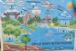 WhatsApp Image 2026-04-17 at 10.55.01 (1)