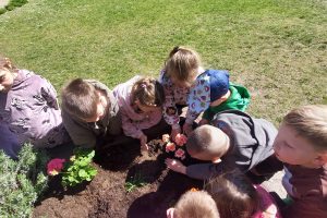 WhatsApp Image 2026-04-22 at 12.26.14 (3)