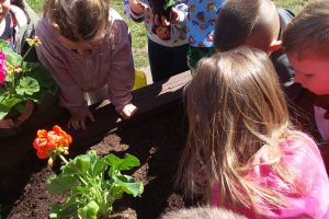 WhatsApp Image 2026-04-22 at 12.26.16 (1)