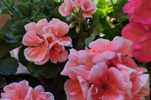 WhatsApp Image 2026-04-22 at 12.26.16 (3)