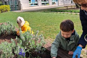 WhatsApp Image 2026-04-22 at 21.08.43 (1)