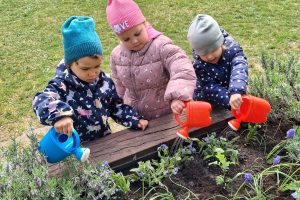 WhatsApp Image 2026-04-22 at 21.08.45 (1)