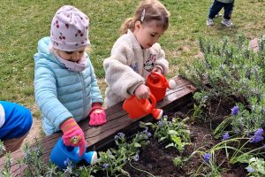 WhatsApp Image 2026-04-22 at 21.08.46