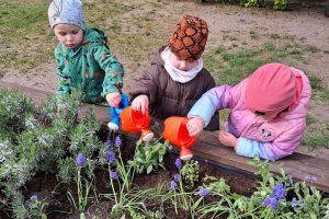 WhatsApp Image 2026-04-22 at 21.08.47 (1)