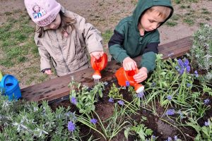 WhatsApp Image 2026-04-22 at 21.08.48 (1)