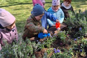 WhatsApp Image 2026-04-22 at 21.08.48 (2)