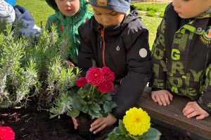 WhatsApp Image 2026-04-22 at 22.29.54 (1)