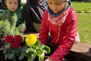 WhatsApp Image 2026-04-22 at 22.29.54 (2)