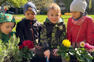 WhatsApp Image 2026-04-22 at 22.29.54