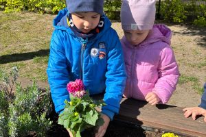 WhatsApp Image 2026-04-22 at 22.29.55 (1)