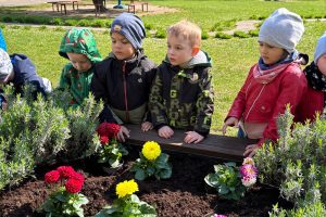 WhatsApp Image 2026-04-22 at 22.29.55